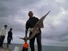 shovelnose shark